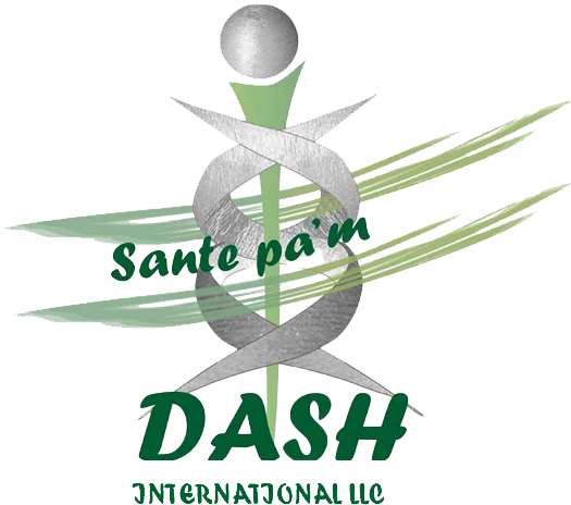 logo-dash-color
